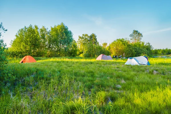 Tent camp camping at sunset on green grass field in forest and