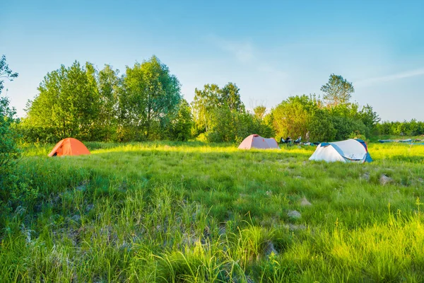 Campamento Tiendas Campaña Atardecer Campo Hierba Verde Bosque — Foto de Stock