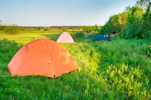 Tenda Acampamento Camping Pôr Sol Campo Grama Verde Floresta — Fotografia de Stock