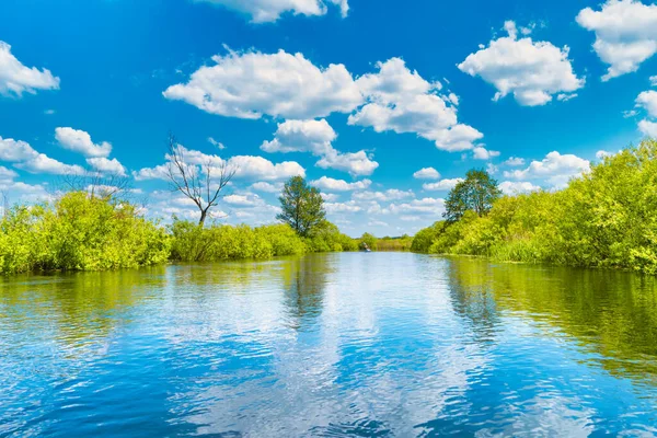 Flodlandskap Och Grön Skog Med Träd Blått Vatten Moln Himlen — Stockfoto