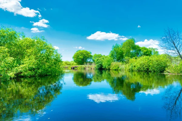 Paisaje Fluvial Bosque Verde Con Árboles Nubes Agua Azul Cielo —  Fotos de Stock