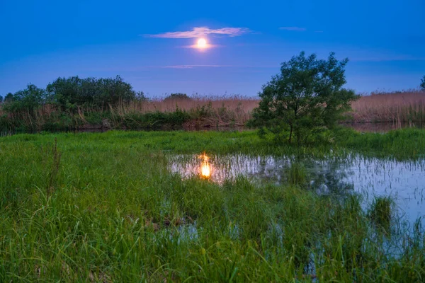 Azul Lago Paisagem Noite Com Lua Cheia Céu Escuro Azul — Fotografia de Stock