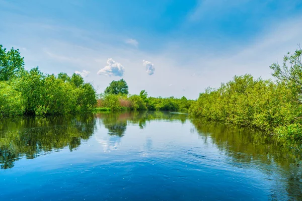 Nehir Manzarası Ağaçlı Yeşil Orman Gökyüzünde Mavi Bulutları — Stok fotoğraf