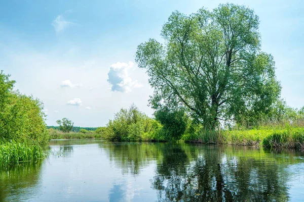 Paisaje Fluvial Bosque Verde Con Árboles Nubes Agua Azul Cielo — Foto de Stock