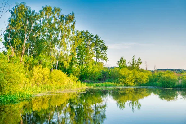 Göl Suyunun Batışı Mavi Gökyüzü Ile Sonbahar Manzarası — Stok fotoğraf