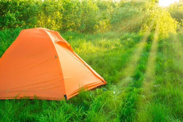 Oranje Tent Kamperen Bij Zonsondergang Bos Groen Grasveld Zonnestralen — Stockfoto