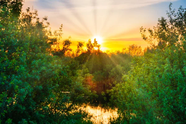 Lake Water Sunset Sun Rays Nature Landscape Sunset Sky — Stock Photo, Image