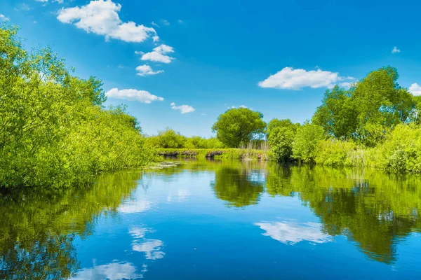 River landscape and green forest with trees blue water clouds on sky