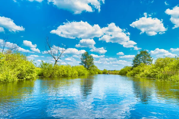 Nehir Manzarası Ağaçlı Yeşil Orman Gökyüzünde Mavi Bulutları — Stok fotoğraf