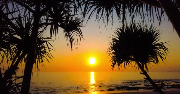 Timelapse de beau coucher de soleil sur la mer ou l'océan avec des palmiers, ciel spectaculaire et nuages colorés. Clip de temporisation 4K