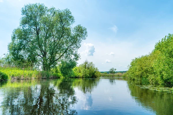 Flodlandskap Och Grön Skog Med Träd Blått Vatten Moln Himlen — Stockfoto