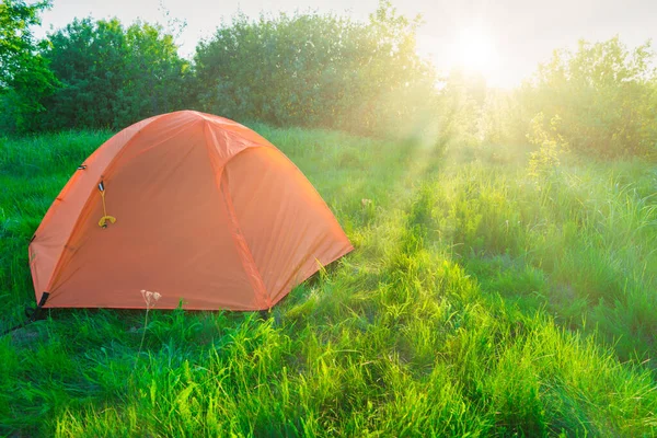 Oranje Tent Kamperen Bij Zonsondergang Bos Groen Grasveld Zonnestralen — Stockfoto