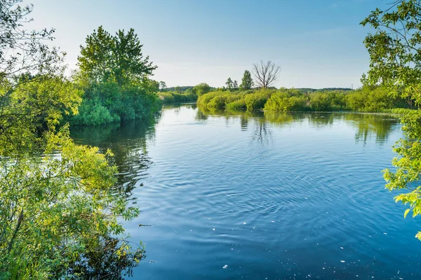 Flodlandskap Och Grön Skog Med Träd Blått Vatten Moln Himlen — Stockfoto