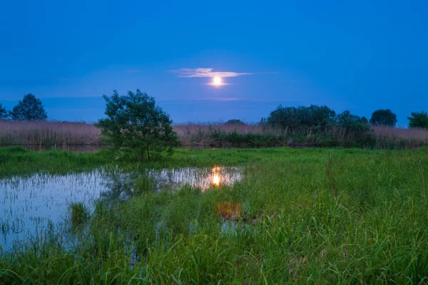 Azul Lago Paisagem Noite Com Lua Cheia Céu Escuro Azul — Fotografia de Stock