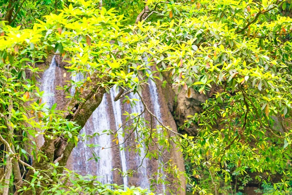Arroyos Blancos Espumosos Cascada Que Descienden Cascada Bosque Tropical Verde — Foto de Stock