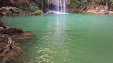 Şelale suları, yeşil ormandaki ağacın yakınındaki şelalede, sakin bir suyun sesi eşliğinde çağlıyor. 4K video klibi