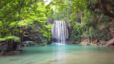 Şelale suları, yeşil ormandaki ağacın yakınındaki şelalede, sakin bir suyun sesi eşliğinde çağlıyor. 4K video klibi