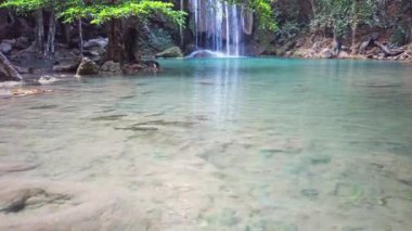 Şelale suları, yeşil ormandaki ağacın yakınındaki şelalede, sakin bir suyun sesi eşliğinde çağlıyor. 4K video klibi