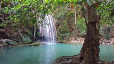 Ağaç ve şelale suyundan yeşil yapraklar ve yeşil tropikal güneşli ormanlarda. 4K video klibi