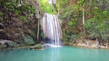 Şelale suları, yeşil ormandaki ağacın yakınındaki şelalede, sakin bir suyun sesi eşliğinde çağlıyor. 4K video klibi