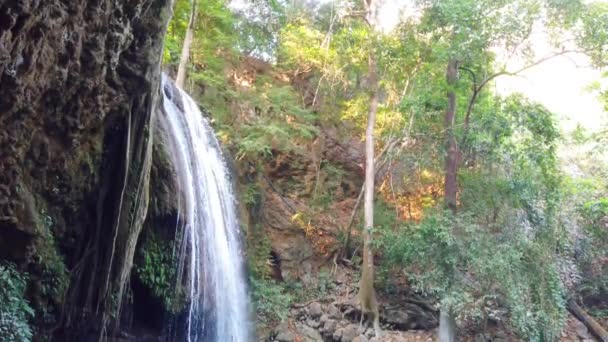 滝の水のカスケードと緑の森の木から葉 4Kビデオクリップ — ストック動画