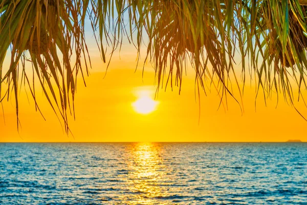 Sea Beach Sunset Landscape Sunset Sun Blue Sea Palm Tree — Stock Photo, Image