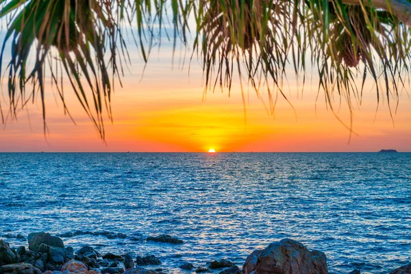 Tengeri Strand Naplemente Táj Naplemente Nap Kék Tenger Pálmafa — Stock Fotó