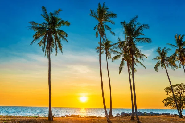 Sunset Palm Trees Beach Landscape Palms Sea Island — Stock Photo, Image