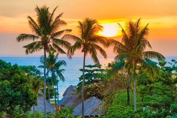 Palm Trees Sunset Landscape Coconut Pulm Trees Sunset Sea — Stock Photo, Image