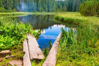 Mavi sudaki ahşap köprü Çam ağaçlarıyla dolu bir orman gölünde