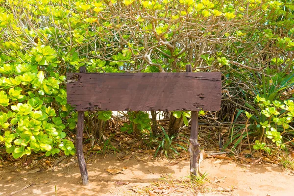 Holz Leeres Brett Grünen Blättern Hintergrund — Stockfoto