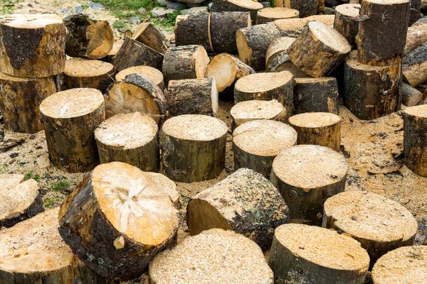 Grumes Chêne Sciure Bois Près Scierie — Photo