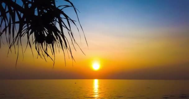 Timelapse Hermosa Puesta Sol Sobre Mar Océano Con Palmeras Cielo — Vídeos de Stock