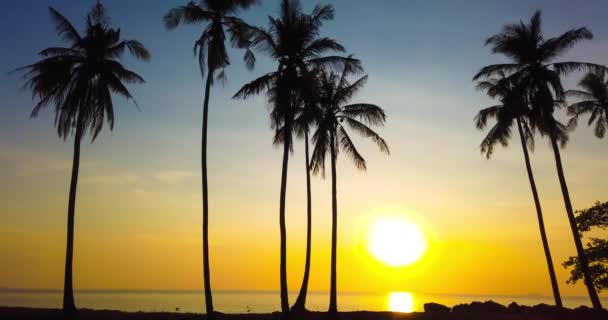 Timelapse Hermosa Puesta Sol Sobre Mar Océano Con Palmeras Cielo — Vídeos de Stock