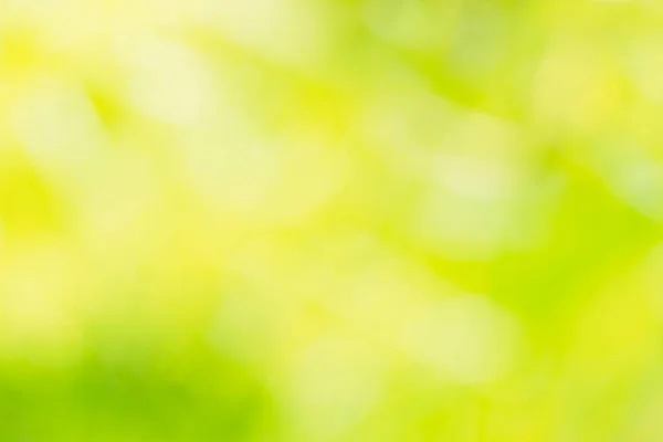 Zielone Żółte Plamy Świetlne Mogą Być Używane Tła — Zdjęcie stockowe