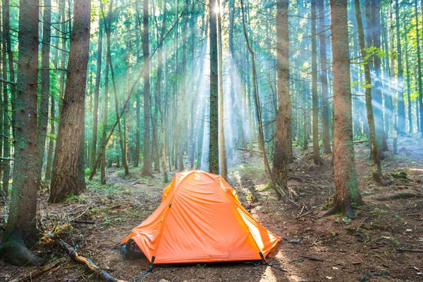 Orange Tent Green Pine Forest Sunset Sun Sun Rays Trees — Stock Photo, Image