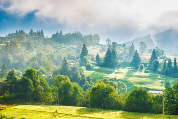 Naturlandschaft Aus Weideland Und Hügeln Mit Nebelschwaden Auf Grünen Bäumen — Stockfoto