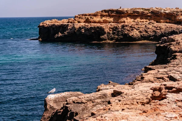 Paisagem marinha e falésias — Fotografia de Stock