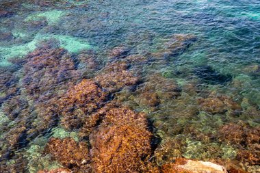 Deniz manzarası ve kayalıklarla