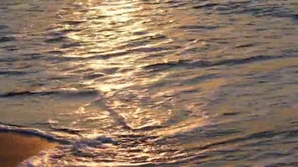 Волны на берегу — стоковое видео