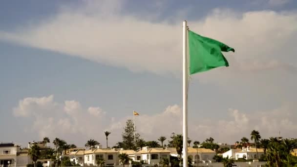 Bandera verde de seguridad — Vídeos de Stock