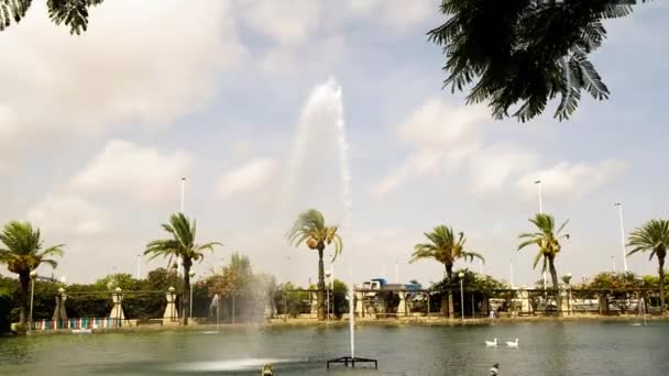 Large Fountains in Park of Nations — Stock Video