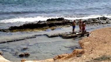 Oynak köpek sahilde