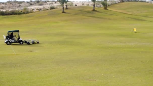 Golf máquina de recogida de bolas — Vídeo de stock