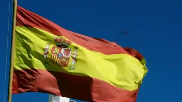 Bandera de España en viento — Vídeo de stock