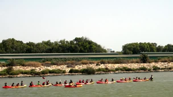 Canoa e kayak per bambini — Video Stock