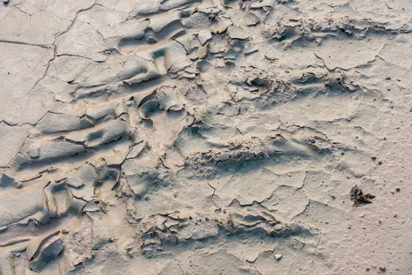 Dried mud pattern — Stock Photo, Image