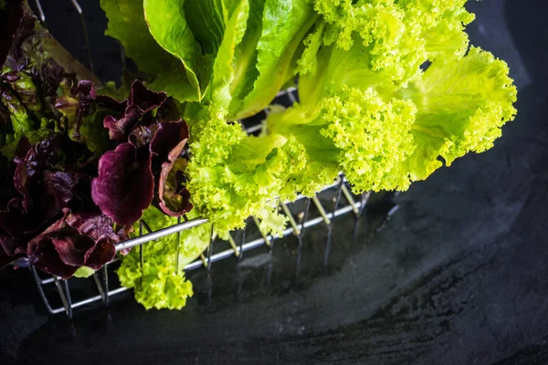Organic Food Concept Raw Fresh Lettuce Romano Salad Leaves Rustic — Stock Photo, Image