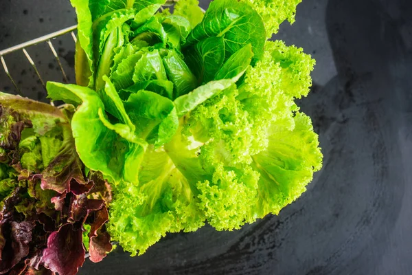 Biologisch Voedsel Concept Met Rauwe Verse Sla Romano Salade Verlaat — Stockfoto