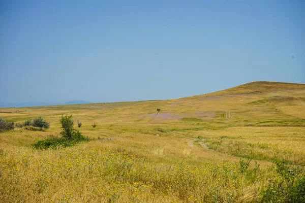 コーカサス ジョージア州のどこかの丘の道の農村風景 — ストック写真